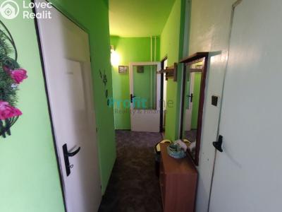 Оренда квартири 1+1 Zábřeh, Severovýchod č. 8