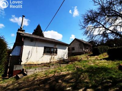 Sale hut Sušice, Nuželická 45 č. 8