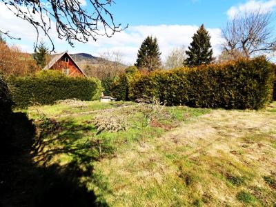 Sale hut Sušice, Nuželická 45 č. 17