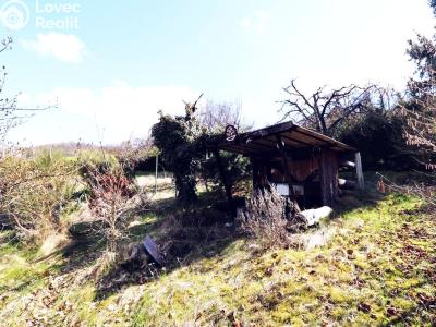 Sale hut Sušice, Nuželická 45 č. 18