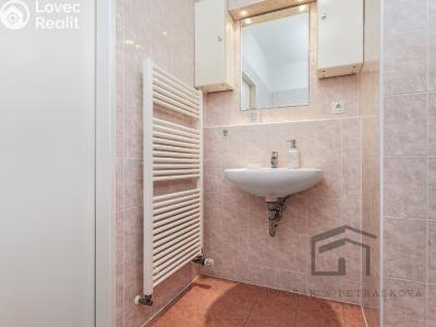 Оренда квартири 2+KK Praha, Saturnova č. 15