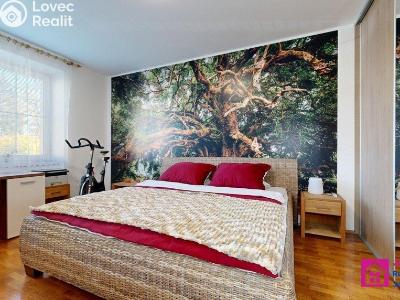 Prodej bytu 4+1 Hodonín, Sv. Čecha č. 14