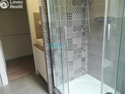Оренда квартири 1+1 Zábřeh, Severovýchod č. 8