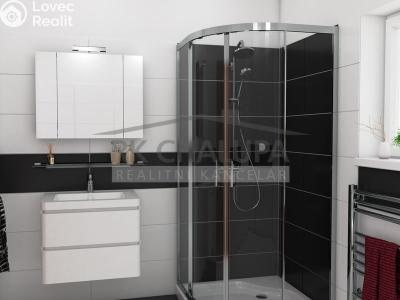 Sale family house Litvínovice, Lipová 491 č. 12