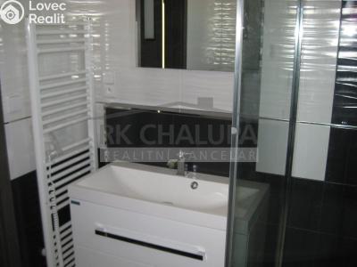 Sale family house Litvínovice, Lipová 491 č. 15