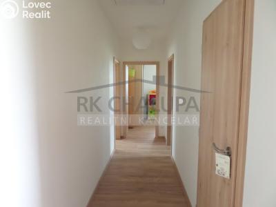 Sale family house Litvínovice, Lipová 491 č. 20