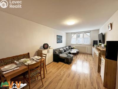 Sale apartment 3+1 Ktiš č. 5