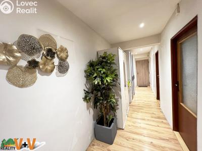 Sale apartment 3+1 Ktiš č. 9