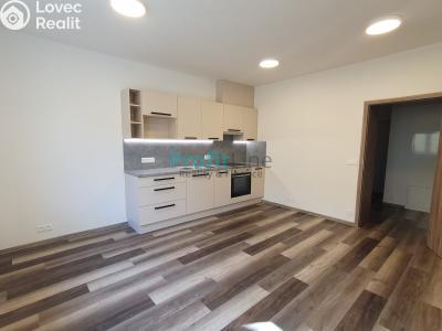 Оренда квартири 1+KK Zábřeh, Leštinská č. 2