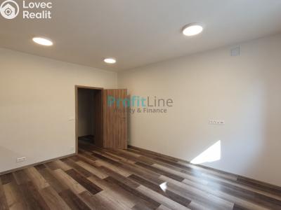 Оренда квартири 1+KK Zábřeh, Leštinská č. 4
