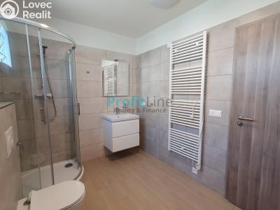Оренда квартири 1+KK Zábřeh, Leštinská č. 5