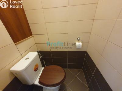 Оренда квартири 3+1 Uničov, Dukelská 1116 č. 12