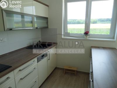 Sale family house Litvínovice č. 11