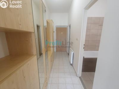Оренда квартири 1+KK Zábřeh, Na Výsluní č. 6