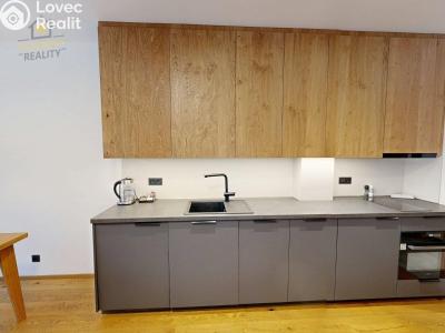 Prodej apartmánů Vítkovice č. 11