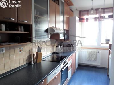 Аренда квартиры 3+1 České Budějovice, K. Chocholy č. 3
