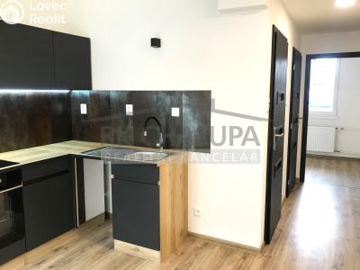 Оренда квартири 2+1 České Budějovice, Průběžná č. 4