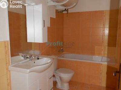 Оренда квартири 1+KK Zábřeh, Sušilova č. 4