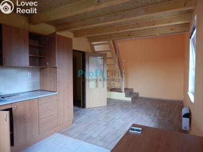 Оренда квартири 1+KK Zábřeh, Sušilova č. 1
