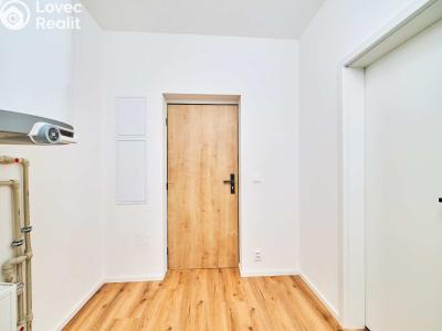 Prodej bytu 1+KK České Budějovice, K. Lávičky č. 7