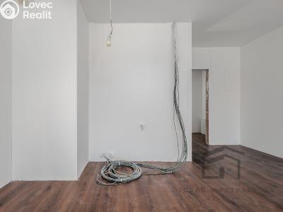 Prodej bytu 1+KK Praha, Spojovací č. 11