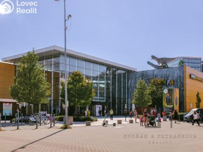 Prodej bytu 1+KK Praha, Spojovací č. 23