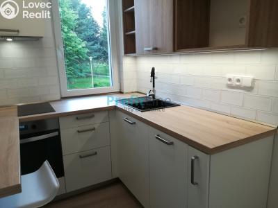 Rent apartment 1+1 Zábřeh, Severovýchod č. 1