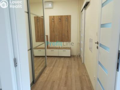 Rent apartment 1+1 Zábřeh, Severovýchod č. 2