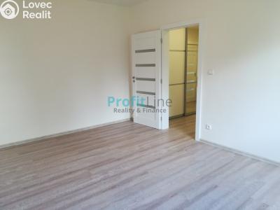 Rent apartment 1+1 Zábřeh, Severovýchod č. 3