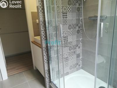 Rent apartment 1+1 Zábřeh, Severovýchod č. 5