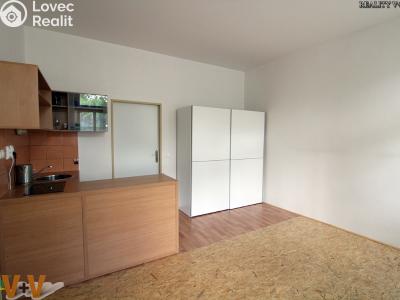 Аренда квартиры 1+1 České Budějovice, Fráni Šrámka č. 1