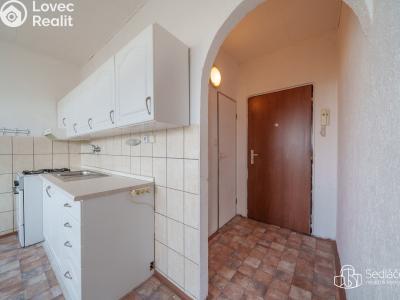 Продаж квартири 1+1 Sokolov, Slavíčkova č. 3