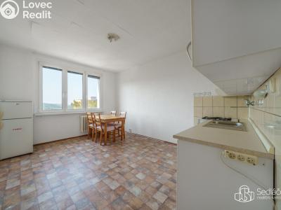Продаж квартири 1+1 Sokolov, Slavíčkova č. 4