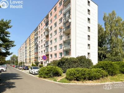 Продаж квартири 1+1 Sokolov, Slavíčkova č. 10
