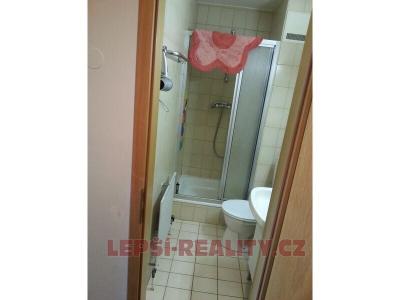 Продажа квартиры 1+KK Železná Ruda č. 6