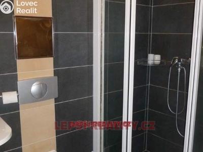 Продаж квартири 1+KK Plzeň, Nad ZOO č. 3