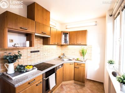 Sale apartment 3+1 Vodňany, Smetanova 876 č. 2
