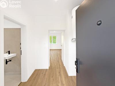 Prodej bytu 1+KK České Budějovice, K. Lávičky č. 4