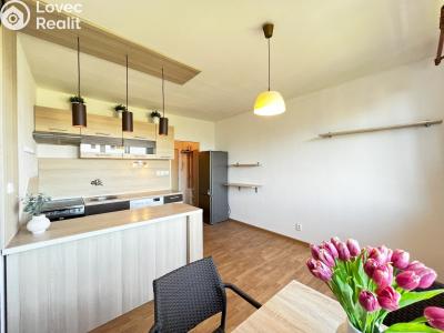 Аренда квартиры 1+1 České Budějovice, J. Opletala č. 1