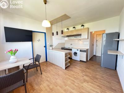 Аренда квартиры 1+1 České Budějovice, J. Opletala č. 2