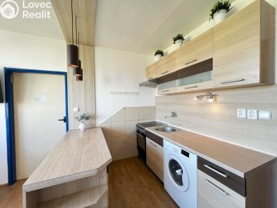 Аренда квартиры 1+1 České Budějovice, J. Opletala č. 4