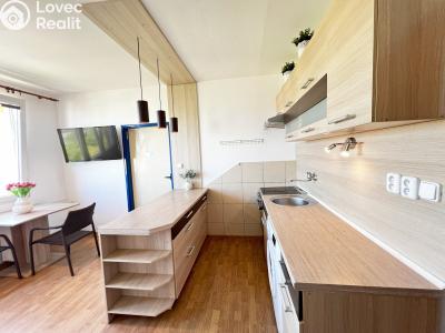 Аренда квартиры 1+1 České Budějovice, J. Opletala č. 7