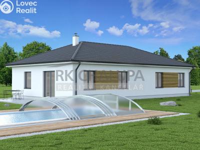 Sale family house Litvínovice č. 1