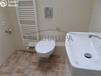 Аренда квартиры 1+KK České Budějovice, Česká č. 6