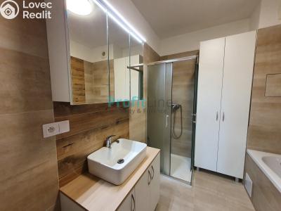 Pronájem bytu 3+KK Mohelnice, Nádražní č. 16