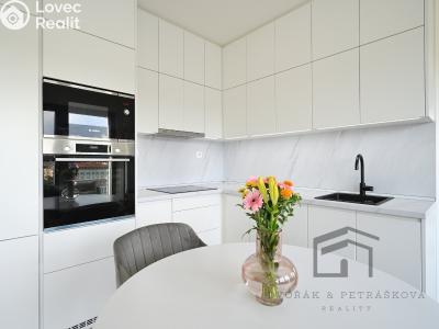 Аренда квартиры 1+KK Praha, Breitfeldova č. 3