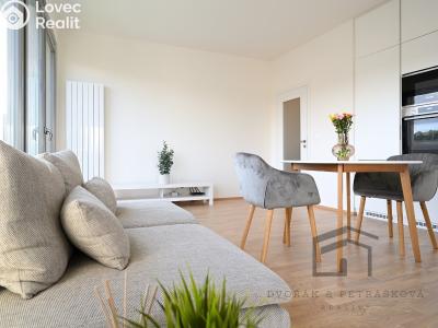 Аренда квартиры 1+KK Praha, Breitfeldova č. 4