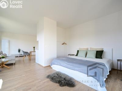 Аренда квартиры 1+KK Praha, Breitfeldova č. 6