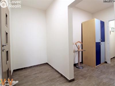 Аренда квартиры 1+1 Praha, Brodského č. 5