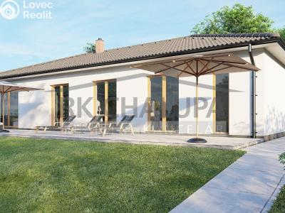 Sale family house Litvínovice č. 3